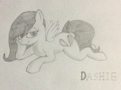 Size: 2592x1936 | Tagged: safe, artist:warriorblood666, oc, oc:dashie, pegasus, pony, female, mare, monochrome, prone, solo, traditional art