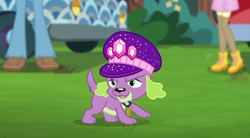 Size: 720x398 | Tagged: safe, screencap, sandalwood, spike, spike the regular dog, dog, better together, choose your own ending, equestria girls, lost and pound, background human, clothes, female, male, pants, paws, shoes, spike's dog collar, spike's festival hat, tail