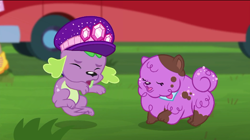 Size: 720x402 | Tagged: safe, screencap, princess thunder guts, spike, spike the regular dog, dog, better together, choose your own ending, equestria girls, lost and pound, lost and pound: spike, cute, eyes closed, female, male, mud, paws, spike's festival hat
