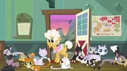 Size: 2100x1180 | Tagged: safe, screencap, goldie delicious, cat, earth pony, pony, going to seed, animal, derp cat, door, female, goldie delicious' cats, mare, siamese cat