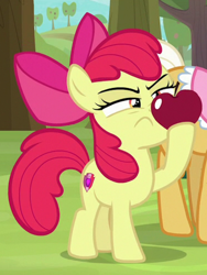 Size: 614x815 | Tagged: safe, screencap, apple bloom, goldie delicious, earth pony, pony, going to seed, apple, cropped, cutie mark, female, filly, food, mare, offscreen character, solo focus, the cmc's cutie marks