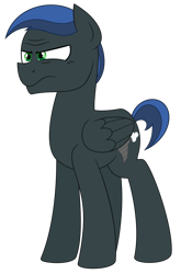 Size: 3281x4688 | Tagged: safe, artist:besttubahorse, oc, oc only, oc:derecho murus, pegasus, pony, male, simple background, solo, stallion, transparent background, unhappy, vector