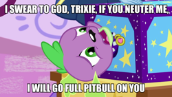 Size: 1200x675 | Tagged: safe, edit, edited screencap, screencap, spike, spike the regular dog, dog, better together, equestria girls, street magic with trixie, caption, image macro, implied trixie, text