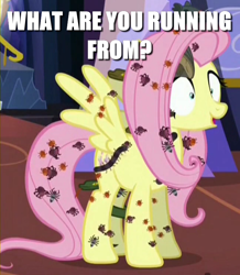 Size: 648x744 | Tagged: safe, edit, edited screencap, screencap, fluttershy, insect, pegasus, pony, every little thing she does, adoracreepy, caption, creepy, cropped, cute, fiducia compellia, game boy camera, image macro, meme, solo, text