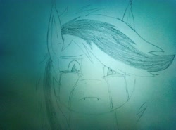 Size: 4208x3120 | Tagged: safe, artist:s7ormdancer14, oc, oc only, oc:stormdancer, bat pony, pony, bat pony oc, crying, looking down, sad, sketch, solo, traditional art