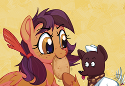 Size: 3250x2244 | Tagged: safe, artist:docwario, oc, oc only, oc:flapjack, oc:warm wishes, dog, pegasus, pony, bandana, bread, female, food, freckles, hat, mare, tongue out, unshorn fetlocks