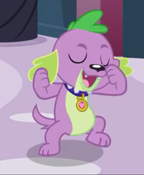 Size: 561x683 | Tagged: safe, screencap, spike, dog, equestria girls, equestria girls (movie), cropped, paws, solo, spike the dog, spike's dog collar, tail