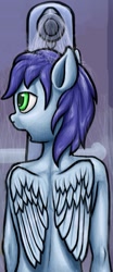 Size: 329x790 | Tagged: safe, artist:exedrus, edit, soarin', pegasus, pony, cropped, cropped porn, fanfic, fanfic art, fanfic cover, male, open mouth, shower, solo, stallion, wings