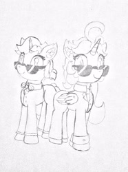 Size: 2278x3054 | Tagged: safe, artist:fireworks sea, oc, oc:fireworks sun, oc:star orchid, alicorn, unicorn, sunglasses