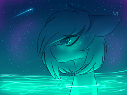 Size: 800x600 | Tagged: safe, artist:avimod, oc, oc only, pony, bust, ear freckles, eyebrows visible through hair, floppy ears, freckles, night, profile, shooting star, solo, stars, surreal, water