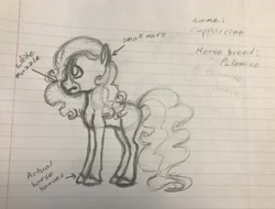 Size: 3559x2704 | Tagged: safe, artist:littlemissyxdl, oc, oc only, oc:cappuccino, earth pony, pony, female, lined paper, mare, monochrome, sketch, solo, traditional art