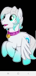 Size: 622x1280 | Tagged: safe, oc, oc only, oc:cold front, pegasus, pony, bell, bell collar, black background, collar, gradient hooves, latex, male, simple background, solo