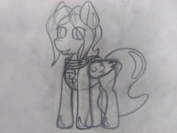 Size: 4608x3456 | Tagged: safe, oc, oc:air flow, inflatable pony, pegasus, pony, bell, collar, photo, solo, traditional art