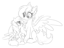 Size: 1170x873 | Tagged: safe, artist:sonnatora, oc, pegasus, pony, duo, monochrome, sketch, solo