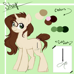 Size: 3000x3000 | Tagged: safe, artist:beashay, oc, oc:shay, pony, unicorn, female, high res, mare, reference sheet, solo