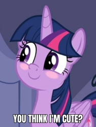 Size: 728x962 | Tagged: safe, edit, edited screencap, screencap, twilight sparkle, twilight sparkle (alicorn), alicorn, pony, the ending of the end, blush sticker, blushing, bronybait, caption, cropped, cute, daaaaaaaaaaaw, female, hnnng, image macro, mare, meme, smiling, solo, sweet dreams fuel, text, twiabetes