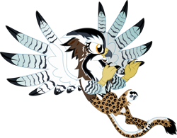 Size: 1920x1500 | Tagged: safe, artist:whitekitsuneko, oc, griffon, colored wings, female, multicolored wings, simple background, solo, spots, transparent background, wings