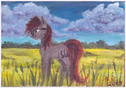 Size: 4889x3425 | Tagged: safe, artist:elisdoominika, oc, oc:fahu, earth pony, pony, acrylic painting, cloud, cloudy, colt, field, glasses, grass, male, painting, scenery, sky, smiling, solo, traditional art