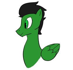 Size: 960x923 | Tagged: safe, artist:bad_karma, oc, oc only, oc:karma, pegasus, pony, bust, male, portrait, simple background, stallion, transparent background