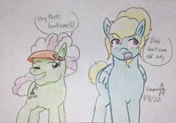 Size: 2196x1536 | Tagged: safe, artist:gmangamer25, auntie applesauce, zephyr breeze, earth pony, pegasus, pony, female, male, mare, stallion, traditional art