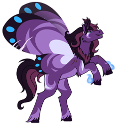 Size: 1600x1699 | Tagged: safe, artist:sylveon17, oc, oc only, oc:fiya, hybrid, original species, butterfly wings, chest fluff, male, rearing, solo, stallion, unshorn fetlocks, wings