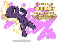 Size: 6000x4469 | Tagged: safe, artist:estories, oc, oc:wildheart, earth pony, pony, absurd resolution, female, mare, simple background, solo, transparent background, vector