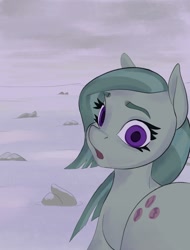 Size: 942x1240 | Tagged: safe, artist:escdev, marble pie, pony, no catchlights, snow, solo