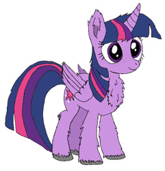 Size: 986x1024 | Tagged: safe, artist:danksailor, twilight sparkle, twilight sparkle (alicorn), alicorn, pony, chest fluff, cute, fluffy, freckles, simple background, solo, unshorn fetlocks, white background