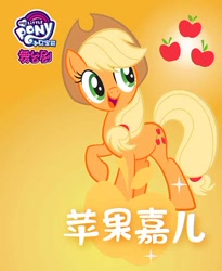 Size: 600x731 | Tagged: safe, derpibooru import, applejack, earth pony, pony, chinese, gradient background, my little pony logo, name translation, official, poster, solo