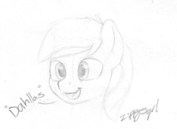 Size: 351x257 | Tagged: safe, artist:zippysqrl, oc, oc only, oc:moonlit ace, pegasus, pony, accent, bronycon, bronycon 2019, bust, explicit source, male, monochrome, open mouth, portrait, signature, simple background, sketch, sketchbook, stallion, white background