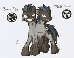 Size: 721x559 | Tagged: safe, artist:ravenpuff, oc, oc only, oc:black egg, oc:white snow, pony, unicorn, broken horn, conjoined, conjoined twins, eye scar, hoof fluff, horn, male, mutant, mutation, raised hoof, reference sheet, scar, smiling, smirk, stallion, story included, unicorn oc