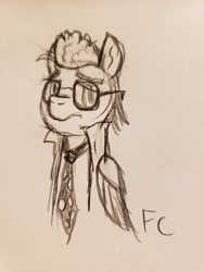 Size: 3024x4032 | Tagged: safe, artist:friendcelestia, oc, oc:fumbles, pegasus, pony, clothes, glasses, male, nerdy, stallion, traditional art