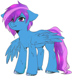 Size: 1056x1115 | Tagged: safe, artist:kedar, edit, oc, oc only, oc:smiles, pegasus, pony, simple background, solo, transparent background