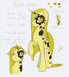 Size: 632x702 | Tagged: safe, artist:ravenpuff, oc, oc only, oc:golden dancer, pony, unicorn, female, horn, mare, raised hoof, reference sheet, text, unicorn oc