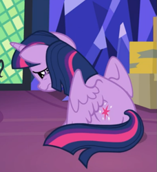 Size: 509x558 | Tagged: safe, screencap, twilight sparkle, twilight sparkle (alicorn), alicorn, the last problem, cropped, rear view, sad, sitting, solo, spread wings, wings