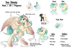 Size: 7400x5000 | Tagged: safe, artist:amazing-artsong, oc, oc:sea shanty, pegasus, pony, absurd resolution, female, mare, reference sheet, simple background, solo, transparent background