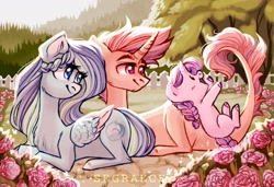 Size: 1280x877 | Tagged: safe, artist:segraece, oc, oc only, oc:riptde, oc:serenity, oc:tranquil wave, pegasus, pony, unicorn, baby, baby pony, background pony, beautiful, braid, braided tail, chest fluff, color porn, dragon tail, family, female, foal, forest, garden, looking up, male, mare, playful, playing, smiling, stallion, trio