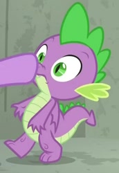 Size: 424x617 | Tagged: safe, screencap, spike, twilight sparkle, twilight sparkle (alicorn), alicorn, dragon, the point of no return, boop, claws, cropped, male, offscreen character, winged spike, wings