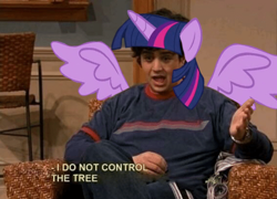 Size: 498x359 | Tagged: safe, edit, twilight sparkle, twilight sparkle (alicorn), alicorn, human, caption, drake & josh, horn, mane, meme, tree of harmony, wings