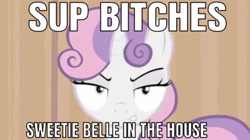 Size: 640x359 | Tagged: safe, edit, edited screencap, editor:undeadponysoldier, screencap, sweetie belle, pony, unicorn, for whom the sweetie belle toils, female, filly, grin, looking at you, smiling, solo, sup bitches, talking to viewer, vulgar