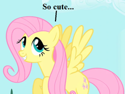 Size: 600x450 | Tagged: safe, edit, edited screencap, screencap, fluttershy, pegasus, pony, stare master, cropped, cute, reaction image, shyabetes, speech