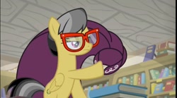 Size: 1292x720 | Tagged: safe, screencap, a.k. yearling, daring do, pegasus, pony, daring doubt, book, bookshelf, cloak, clothes, glasses, library, lidded eyes, solo, we don't normally wear clothes