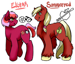 Size: 950x800 | Tagged: safe, artist:joint-parodica, artist:jointsupermodel, oc, oc:elstar, oc:summer red, earth pony, pony, brother and sister, female, freckles, looking at each other, male, mare, offspring, parent:big macintosh, parent:cheerilee, parents:cheerimac, siblings, simple background, stallion, unshorn fetlocks, white background