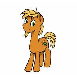 Size: 960x960 | Tagged: safe, artist:brightstarclick, oc, oc:click, earth pony, facial hair, goatee, male, stallion