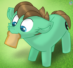 Size: 1649x1521 | Tagged: safe, artist:rainbow eevee, oc, oc only, oc:ian, earth pony, pony, bread, brown mane, cute, cutie mark, daaaaaaaaaaaw, food, german, grass, green, male, mouth hold, solo