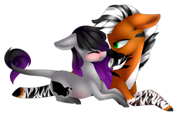 Size: 4220x2700 | Tagged: safe, artist:hyshyy, oc, oc:raffles, oc:raven, earth pony, pony, blushing, eyes closed, female, leonine tail, male, pregnant, simple background, transparent background