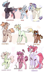 Size: 1585x2600 | Tagged: safe, artist:mcwolfity, oc, oc:aero, oc:belle, oc:campfire, oc:halley, oc:maelstrom, oc:marigold, oc:peppermint, oc:pinecone, oc:string cheese, alicorn, hybrid, pegasus, pony, unicorn, alicorn oc, chest fluff, curved horn, ethereal mane, eye clipping through hair, female, hat, horn, interspecies offspring, leonine tail, looking back, magical lesbian spawn, male, mare, offspring, parent:applejack, parent:caramel, parent:dumbbell, parent:flam, parent:fluttershy, parent:pinkie pie, parent:prince rutherford, parent:rainbow dash, parent:rarity, parent:tempest shadow, parent:twilight sparkle, parents:carajack, parents:dumbdash, parents:flamjack, parents:flarity, parents:pinkieford, parents:tempestlight, raised hoof, simple background, stallion, starry mane, transparent background