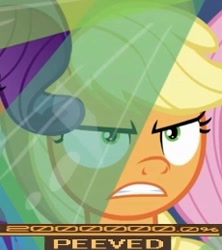 Size: 230x259 | Tagged: safe, edit, edited screencap, screencap, applejack, fluttershy, rarity, earth pony, pegasus, pony, unicorn, the ending of the end, 200% mad, applejack is not amused, cropped, meme, peeved, solo focus, unamused