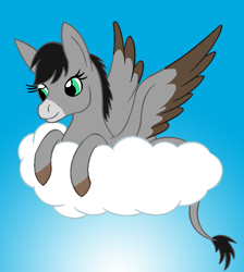 Size: 664x740 | Tagged: safe, artist:chili19, oc, oc only, donkey, hybrid, cloud, colored hooves, donkey oc, female, on a cloud, smiling, solo, wings