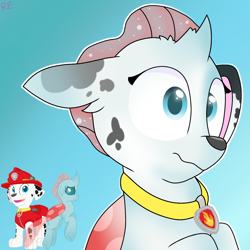 Size: 1250x1250 | Tagged: safe, artist:rainbow eevee, ocellus, changedling, changeling, dog, character to character, collar, cute, dalmatian, diaocelles, gradient background, male to female, marshall, marshall (paw patrol), paw patrol, rule 63, rule63betes, simple background, surprised, transformation, transgender transformation, wat